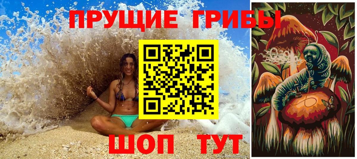 Дятьково  Псилоцибиновые грибы MAGIC MUSHROOMS  Вход с VPN 